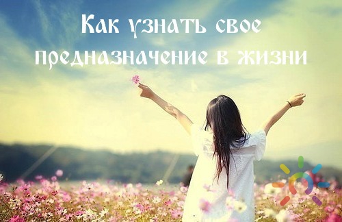 Определение своего предназначения